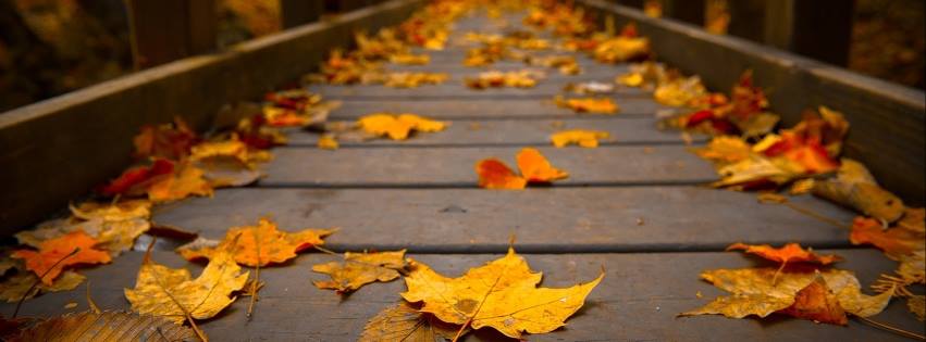 A&D Lawn Care and Snow Removal