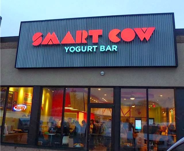 Smart Cow Yogurt Bar