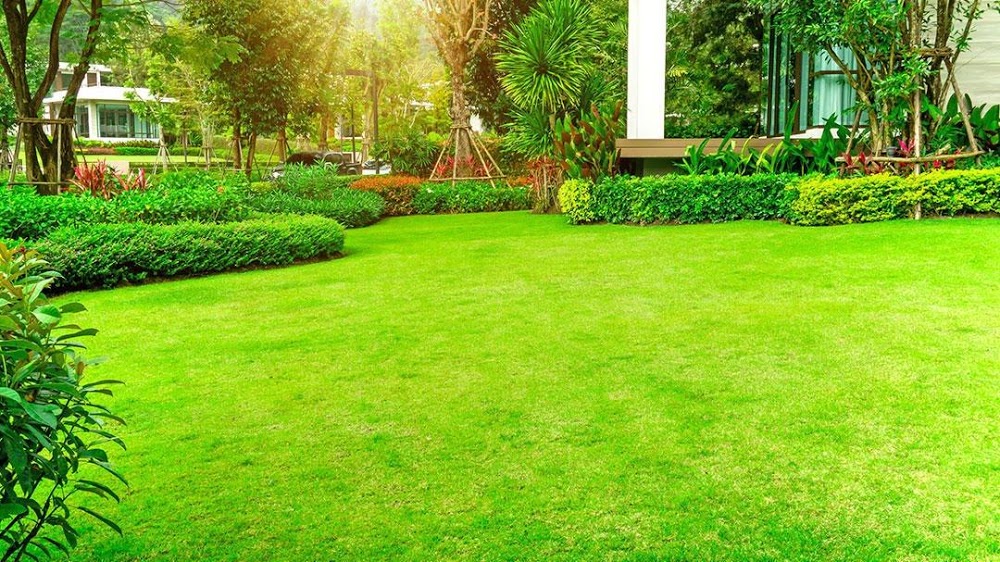 Turf Pro Lawncare & Snow Removal